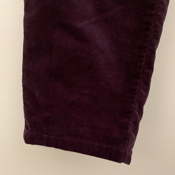 Rag&Bone burgundy velvet skinny pants. Size 30 - Picture 11 of 16